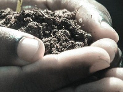 Closeup of hands holding a small mound of dirt with a small plant growing in it