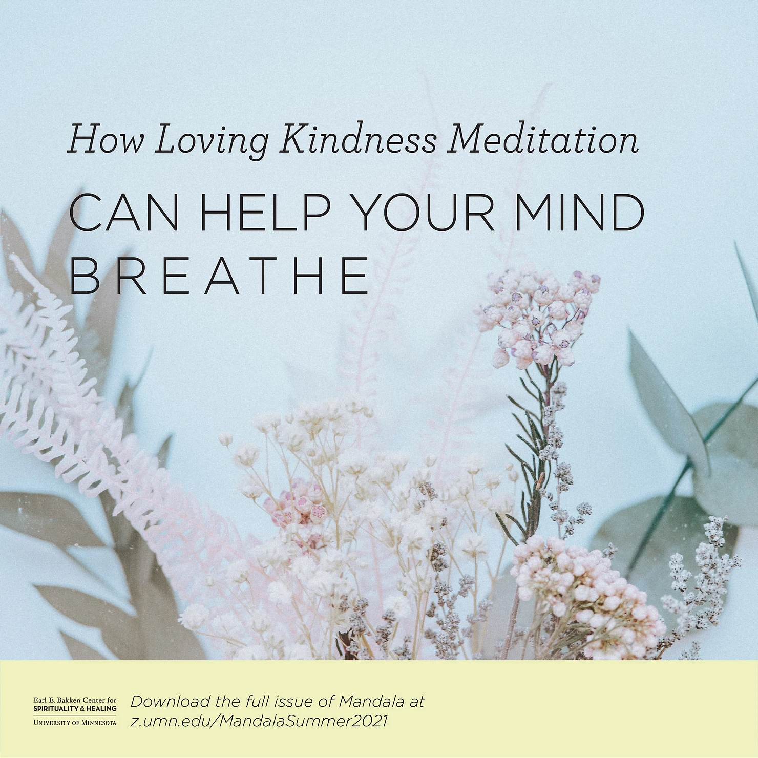 "How Loving Kindness Can Help Your Mind Breathe" text over a background image of a bouquet of flowers