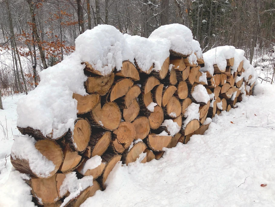 a pile of logs with snow on top