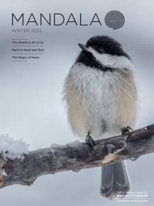 bird on branch, cover of mandala magazine winter 2023