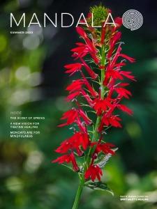 Summer Mandala magazine cover 2023: a closeup photo of a plant with many red flowers
